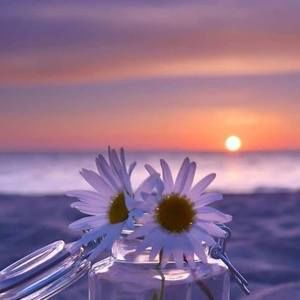 Meet your Posher, Filippo